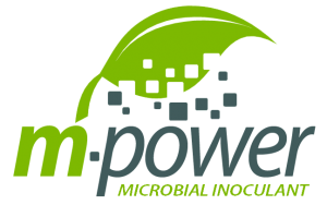 [22004] M-POWER® 1Ltr