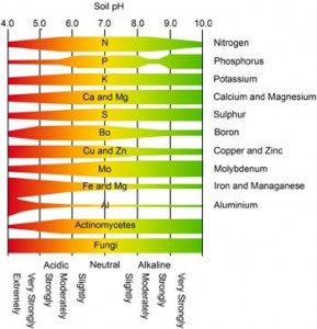 pH effect on availability of nutrients fertiliser